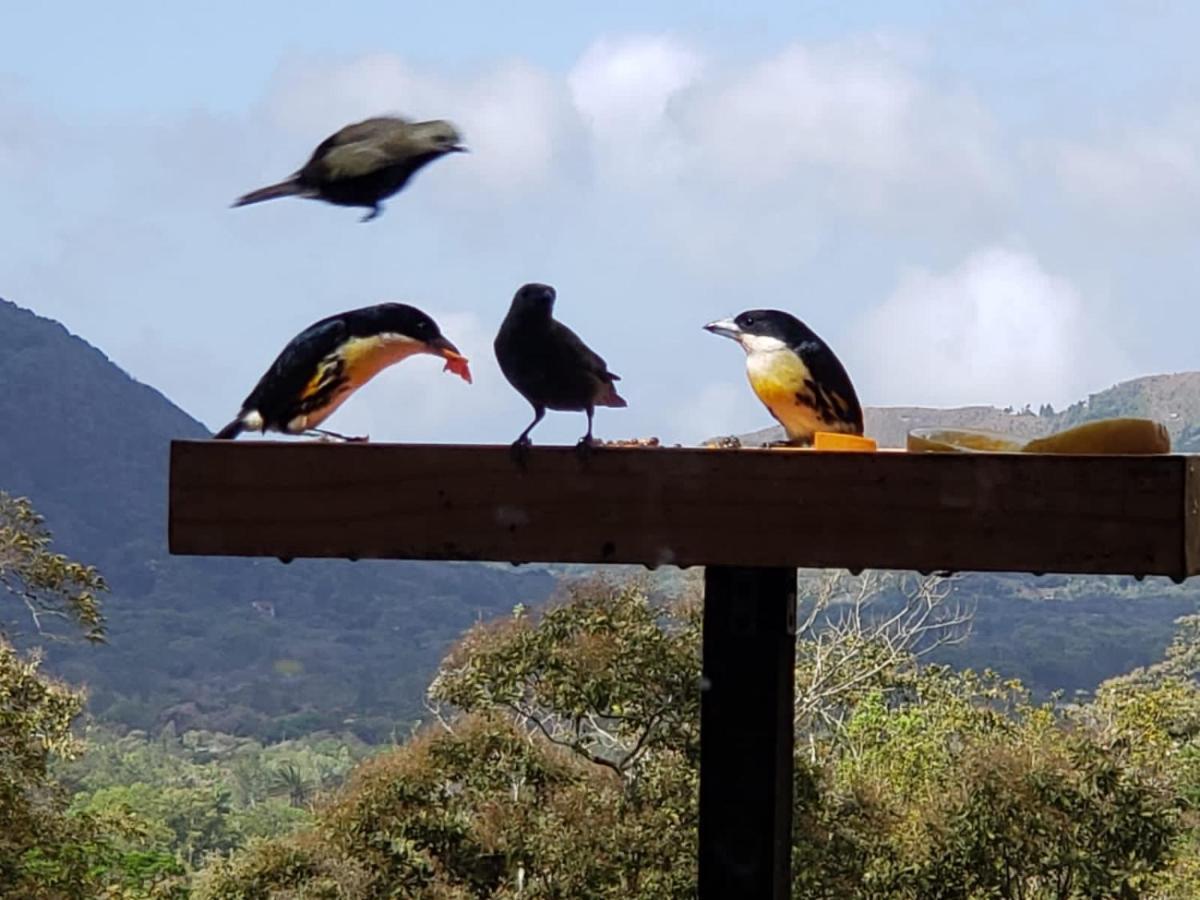 El Valle De Anton La Chachalaca Exteriér fotografie