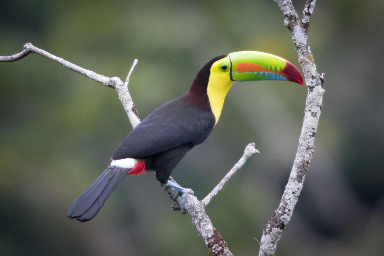El Valle De Anton La Chachalaca Exteriér fotografie