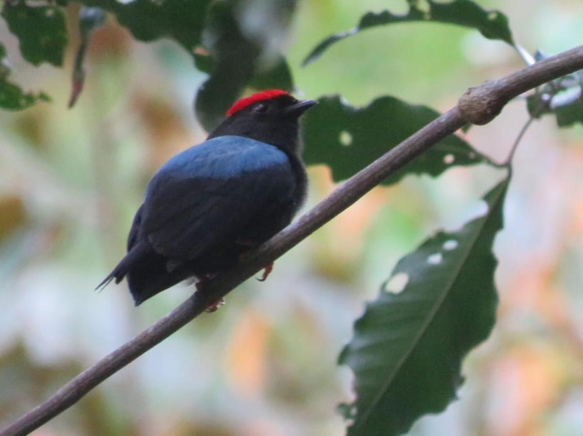 El Valle De Anton La Chachalaca Exteriér fotografie