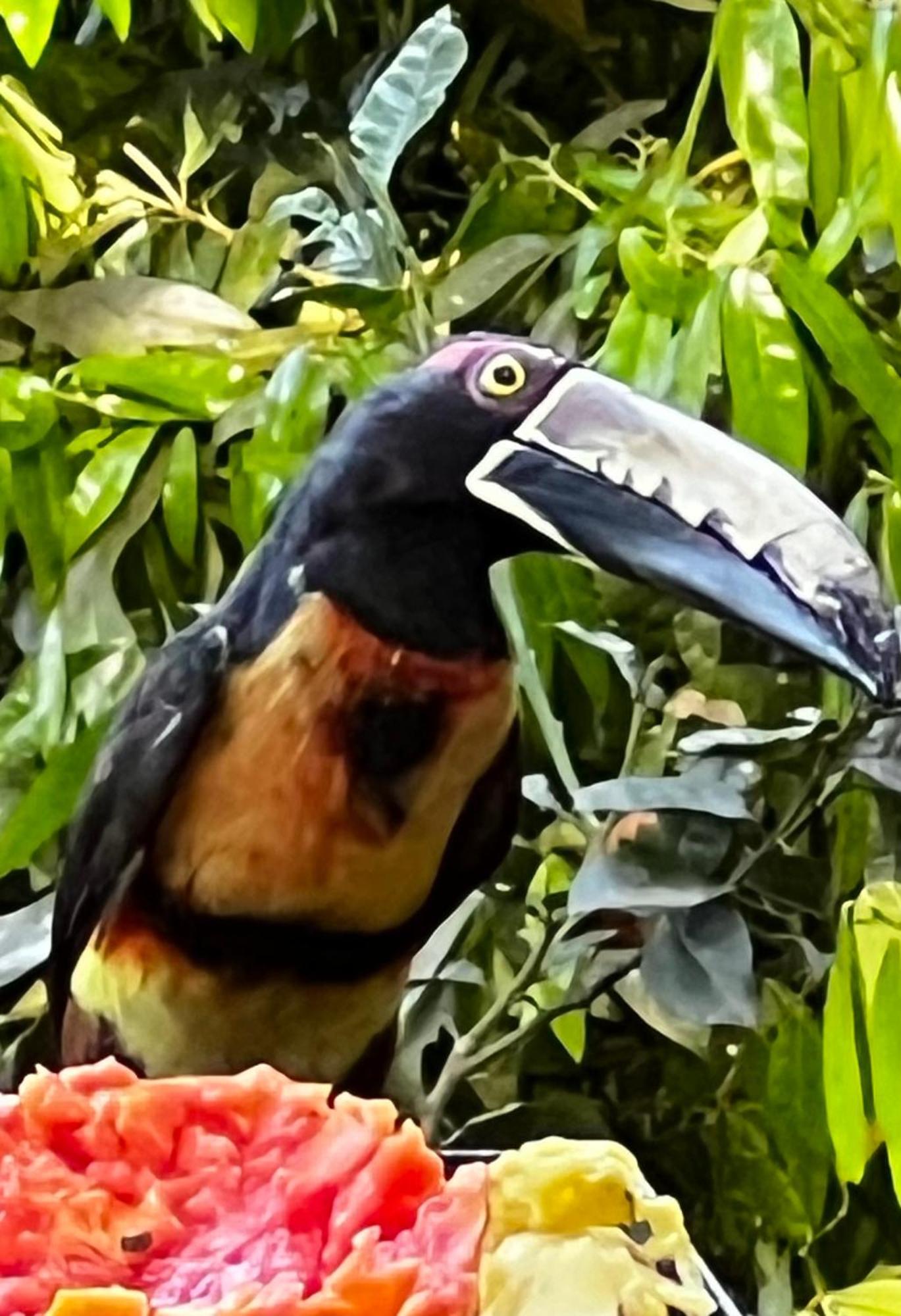 El Valle De Anton La Chachalaca Exteriér fotografie