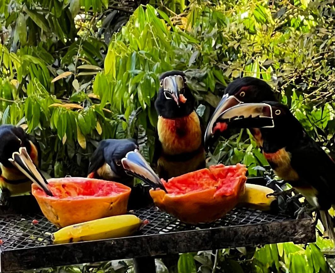 El Valle De Anton La Chachalaca Exteriér fotografie