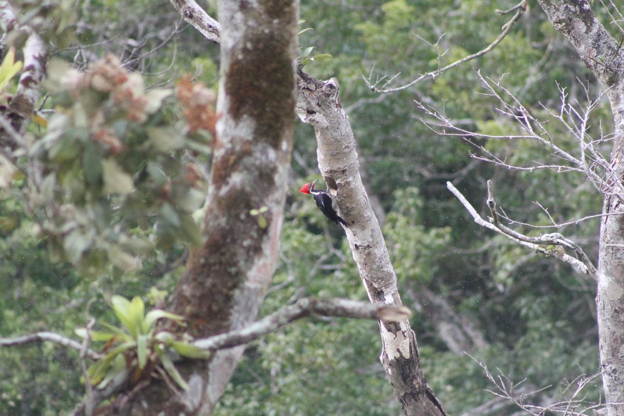 El Valle De Anton La Chachalaca Exteriér fotografie