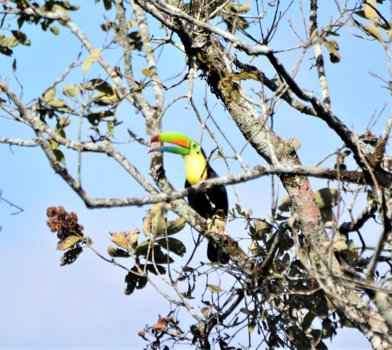 El Valle De Anton La Chachalaca Exteriér fotografie