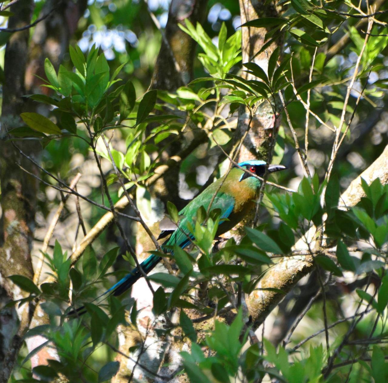 El Valle De Anton La Chachalaca Exteriér fotografie