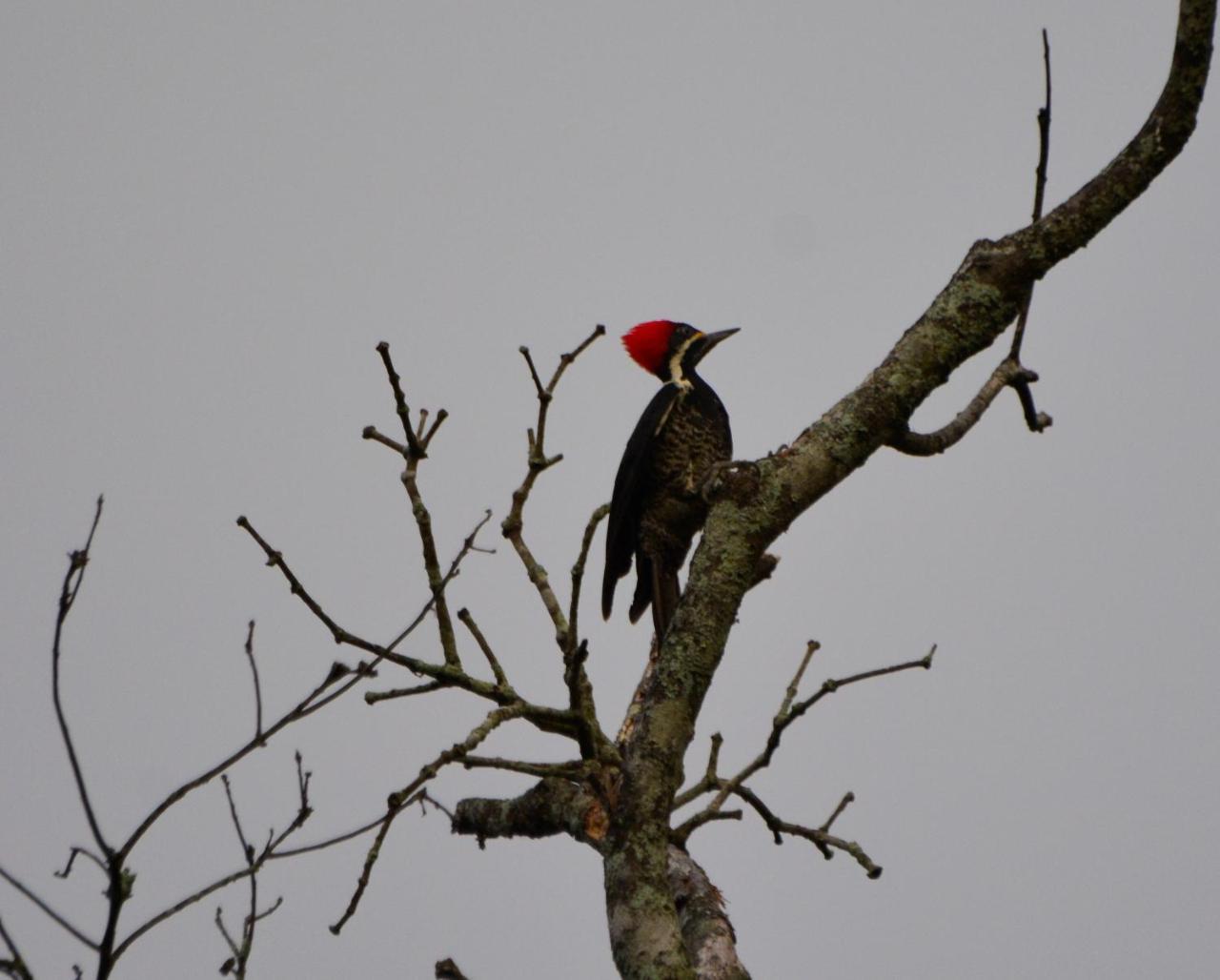 El Valle De Anton La Chachalaca Exteriér fotografie
