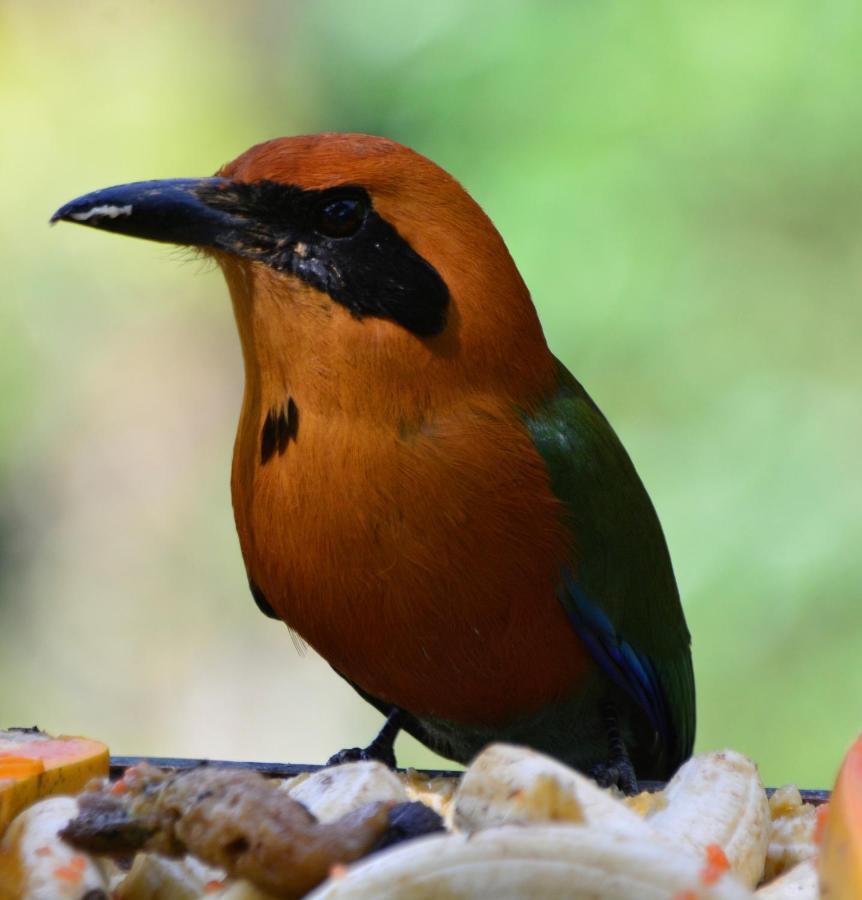 El Valle De Anton La Chachalaca Exteriér fotografie