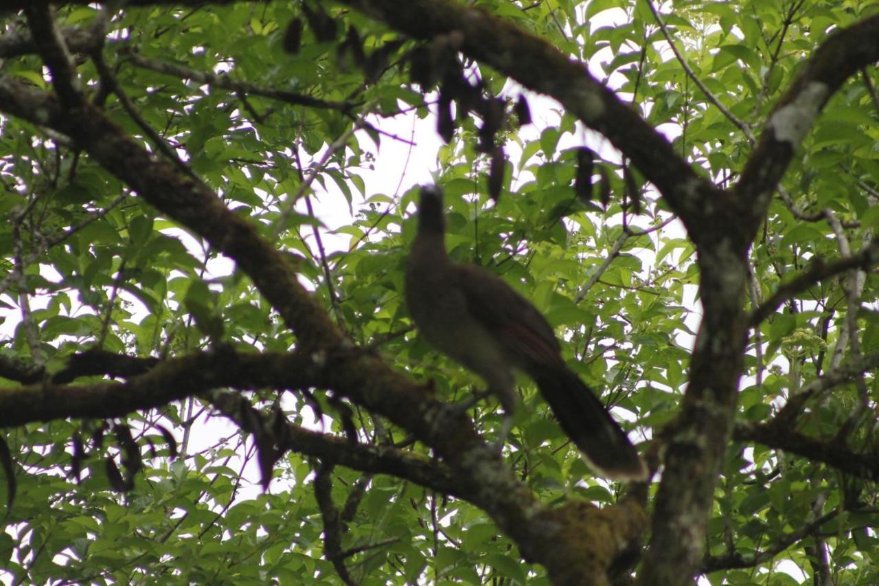 El Valle De Anton La Chachalaca Exteriér fotografie