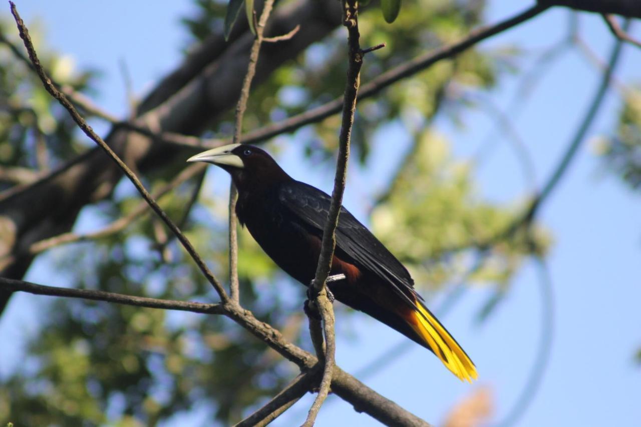 El Valle De Anton La Chachalaca Exteriér fotografie