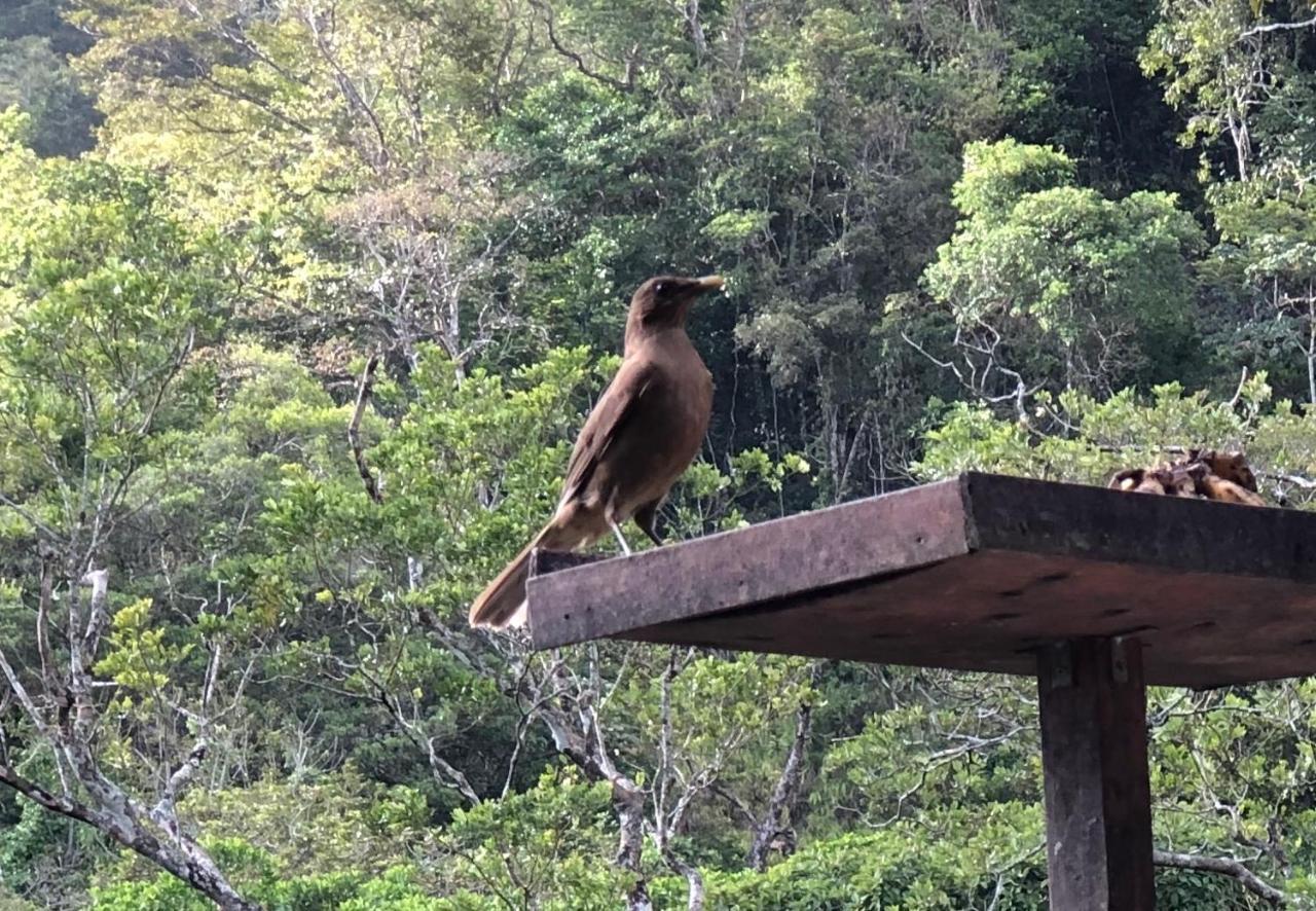El Valle De Anton La Chachalaca Exteriér fotografie